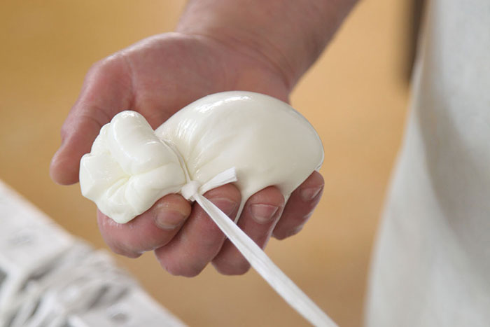 Burrata