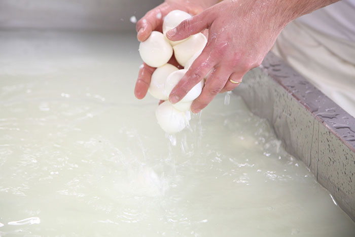 Mozzarella di latte vaccino