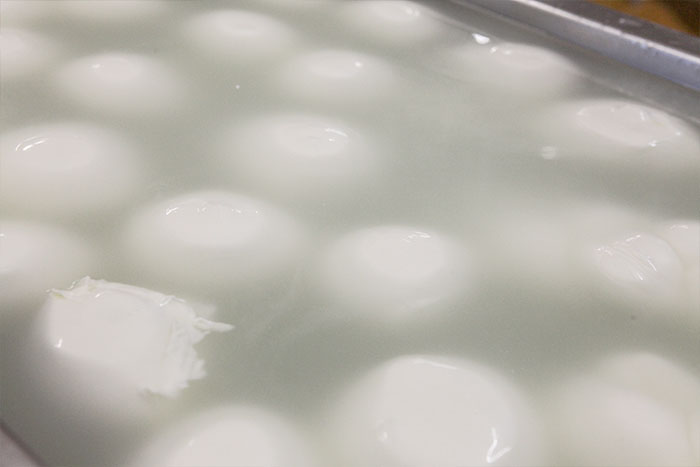 Mozzarella di latte vaccino