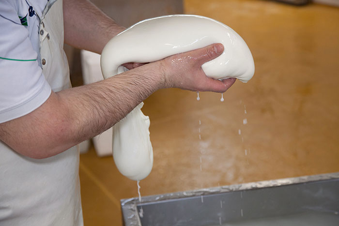 Treccia di latte di Bufala