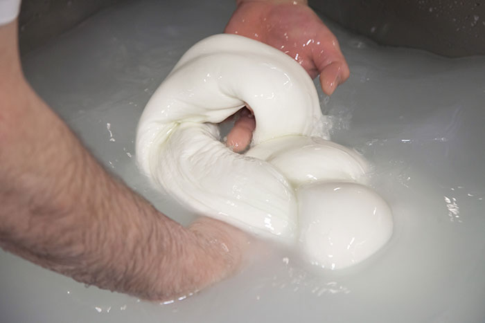 Treccia di latte di Bufala