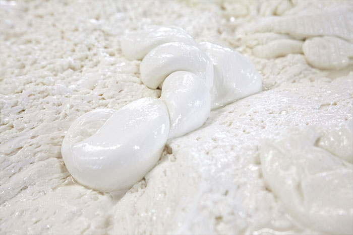 Treccia di latte di Bufala