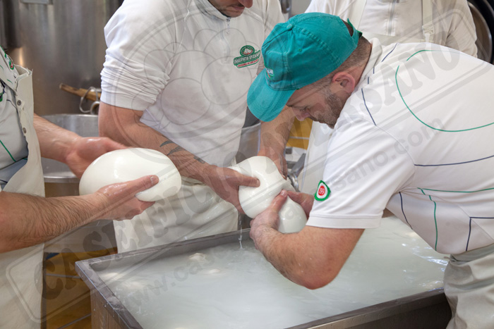 lavorazione-caseificio-aversano