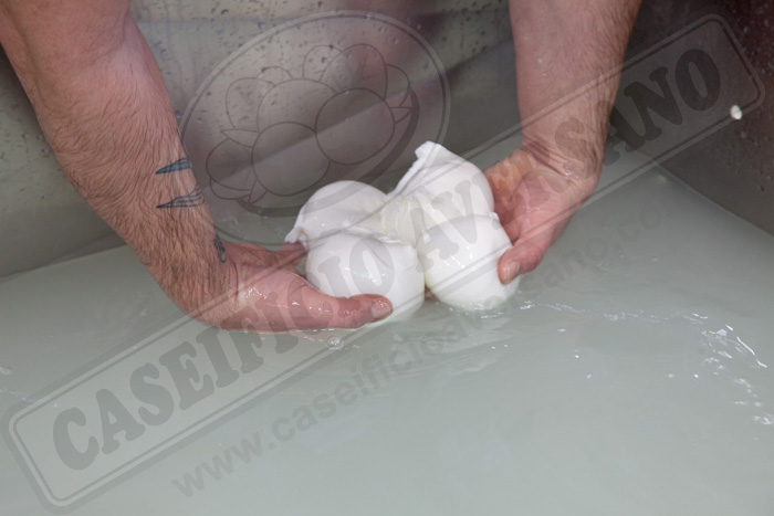 lavorazione-caseificio-aversano