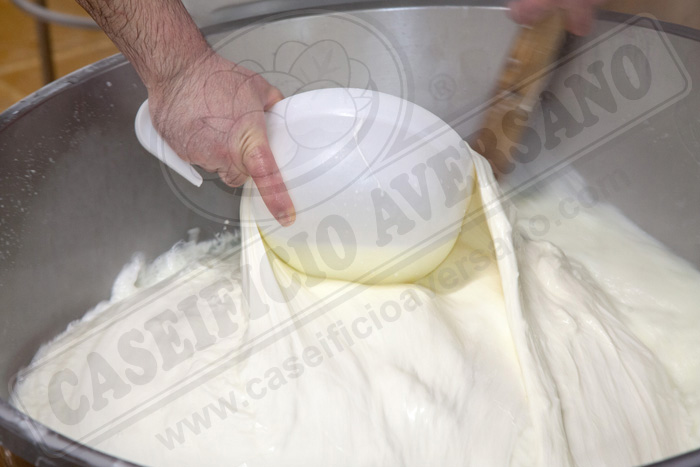 lavorazione-caseificio-aversano