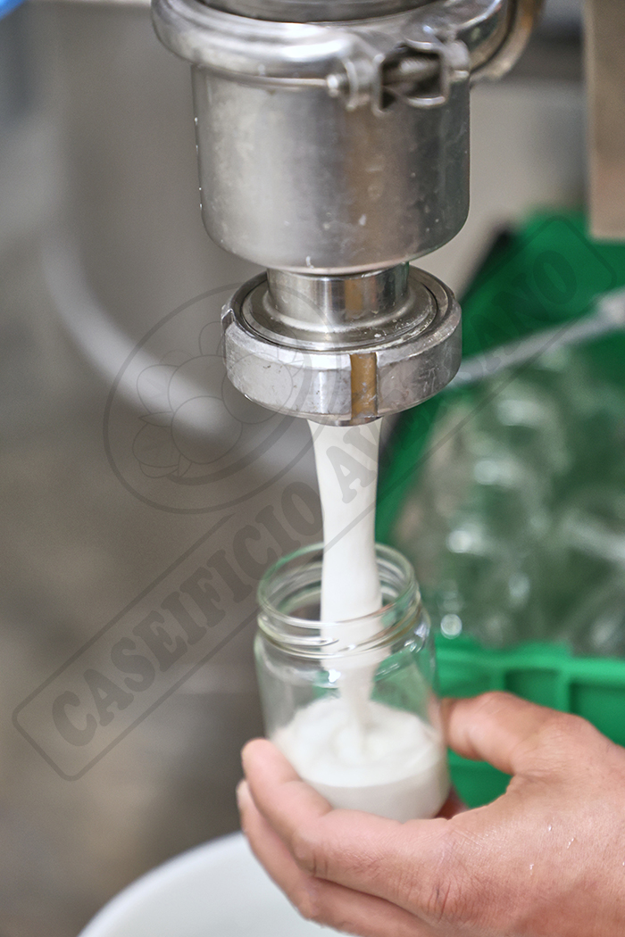 lavorazione-caseificio-aversano