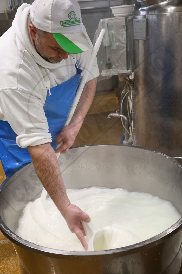 lavorazione-caseificio-aversano