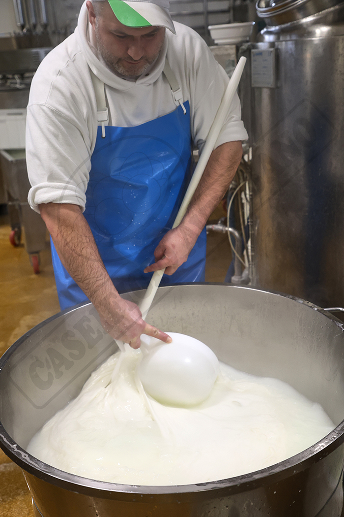lavorazione-caseificio-aversano