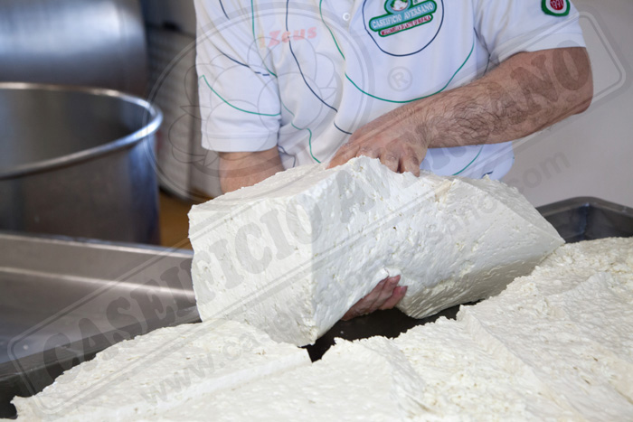 lavorazione-caseificio-aversano