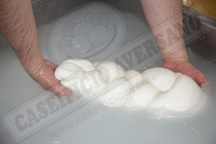 lavorazione-caseificio-aversano