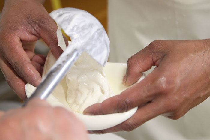 Burrata Burrata