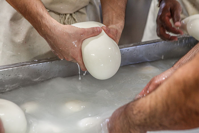 Mozzarella di latte di Bufala Mozzarella di latte di Bufala