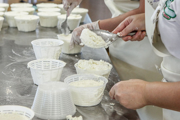 Ricotta di siero